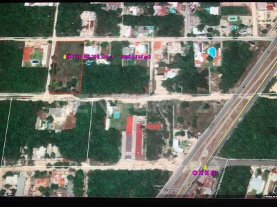 Alamos S/N,, Cancún/Benito Juárez, Quintana Roo 77560, Mexique