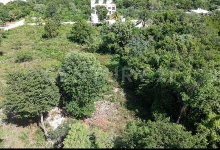 Alamos S/N,, Cancún/Benito Juárez, Quintana Roo 77560, Mexico