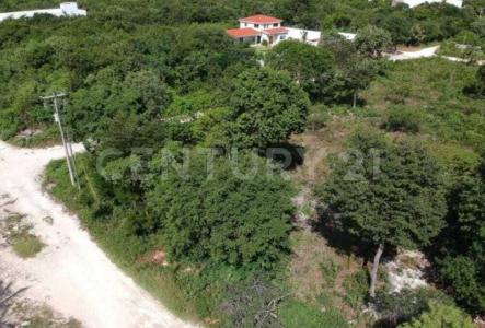 Alamos S/N,, Cancún/Benito Juárez, Quintana Roo 77560, Mexique