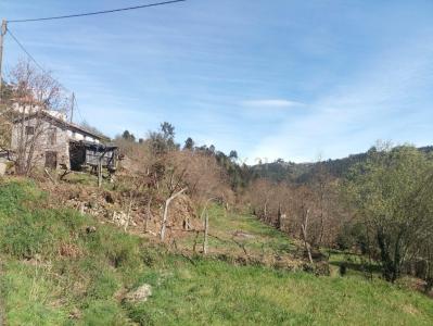 São Pedro Do Sul, Viseu 3660-072, Portugal