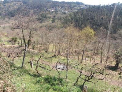 São Pedro Do Sul, Viseu 3660-072, Portugal