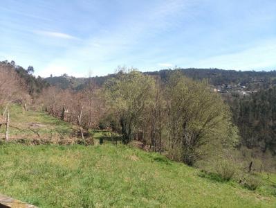 São Pedro Do Sul, Viseu 3660-072, Portugal