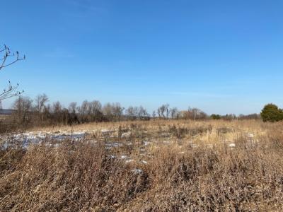 Lot 69.31 Liberty Corners Rd, Pine Island, Nova Iorque 10969, Estados Unidos