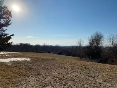 Lot 69.31 Liberty Corners Rd, Pine Island, Nova Iorque 10969, Estados Unidos