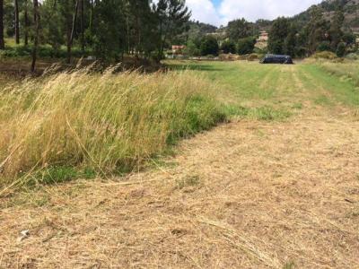 Caminha, Viana Do Castelo 4910-583, Portugal