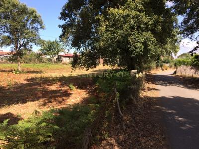 Valença, ויאנה דו קשטלו 4930-087, פורטוגל 