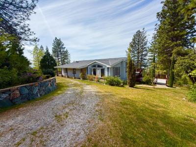 14541 Fricot City Road, Sheep Ranch, California 95246, USA
