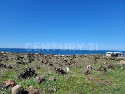 Ursulo Galvan Sin Numero,, Ensenada, Kalifornia Dolna 22765, Meksyk