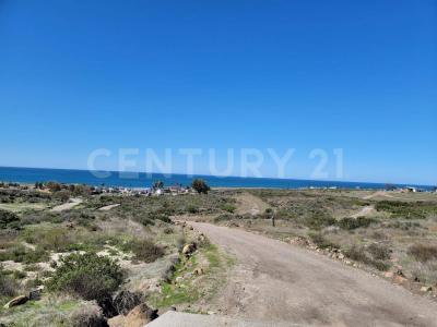 Ursulo Galvan Sin Numero,, Ensenada, Kalifornia Dolna 22765, Meksyk