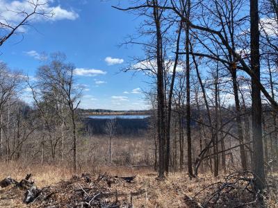 Goldfinch Ln SW, Bemidji, 明尼蘇達州 56601, 美國