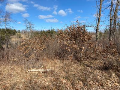 Goldfinch Ln SW, Bemidji, Миннесота 56601, Соединенные Штаты