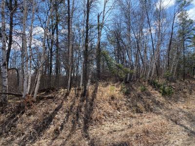 Goldfinch Ln SW, Bemidji, Миннесота 56601, Соединенные Штаты