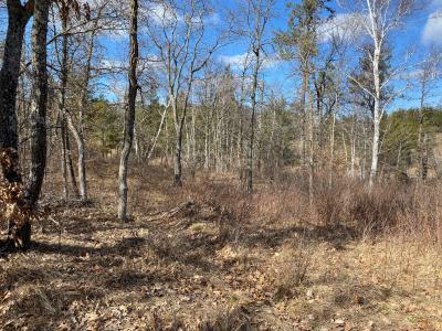 Goldfinch Ln SW, Bemidji, Миннесота 56601, Соединенные Штаты