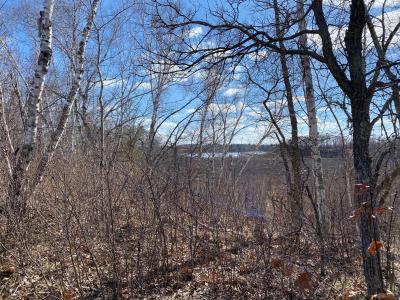 Grant Hills Rd SW, Bemidji, Миннесота 56601, Соединенные Штаты