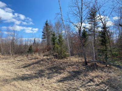 Grant Hills Rd SW, Bemidji, Миннесота 56601, Соединенные Штаты