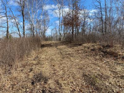 Grant Hills Rd SW, Bemidji, Миннесота 56601, Соединенные Штаты