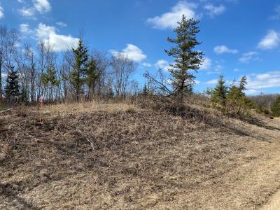 Grant Hills Rd SW, Bemidji, Миннесота 56601, Соединенные Штаты