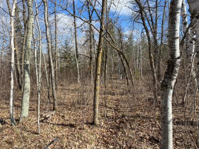 Grant Hills Rd SW, Bemidji, Minnesota 56601, USA