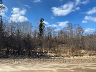 Grant Hills Rd SW, Bemidji, Миннесота 56601, Соединенные Штаты