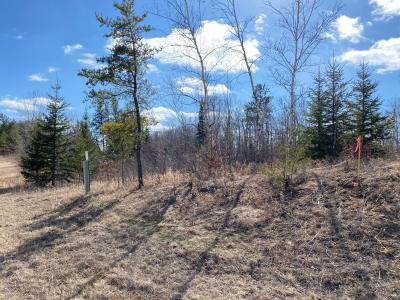 Grant Hills Rd SW, Bemidji, Миннесота 56601, Соединенные Штаты
