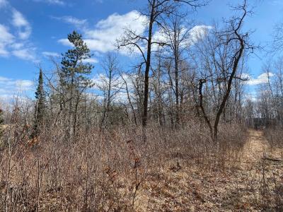 Grant Hills Rd SW, Bemidji, Миннесота 56601, Соединенные Штаты