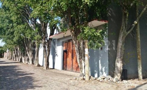 Prolongación Los Reyes 81,, Cuautla, 莫雷洛斯 62751, 墨西哥