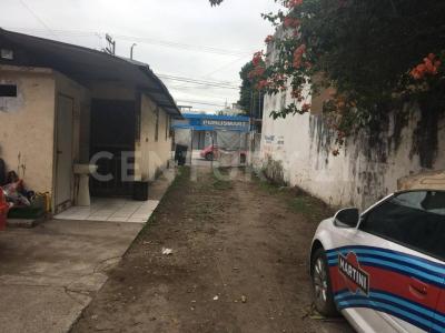 Tampico, 塔毛利帕斯 89000, 墨西哥