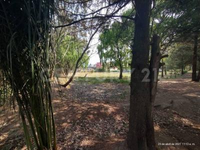 Ocoyoacac, Meksyk (stan) 52740, Meksyk