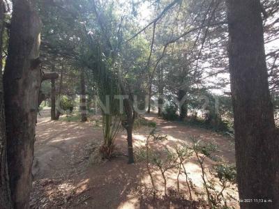 Ocoyoacac, Meksyk (stan) 52740, Meksyk