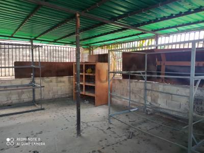 Santa Cruz De Aragua, Aragua 00001, ベネズエラ