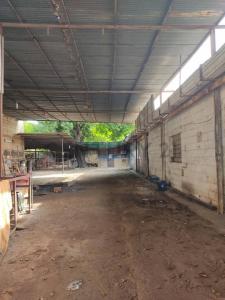 Santa Cruz De Aragua, Aragua 00001, ベネズエラ