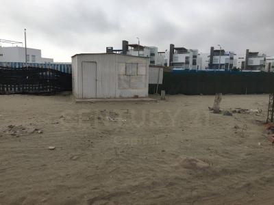 Playa Sarapampa , Cañete, Lima 00001, Peru