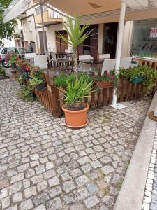 Castelo Branco, Castelo Branco 6000-167, Portugal