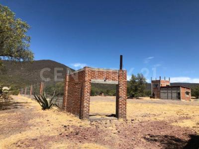 TEJOCOTE S/N Fracción I,, Tolcayuca, Hidalgo 43860, México