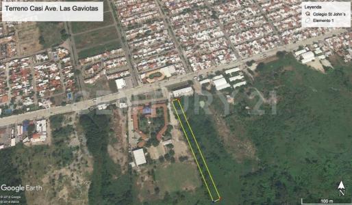 paseo de las gaviotas sn,, Manzanillo, Colima 28219, Messico