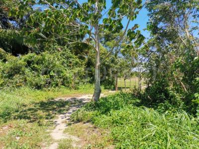 Cosoleacaque, Veracruz 96344, México