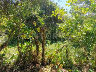 Cosoleacaque, Veracruz 96344, Mexiko