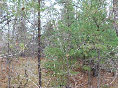 8.94 Acres on 4th St N, Tomahawk, 위스컨신 54487, 미국