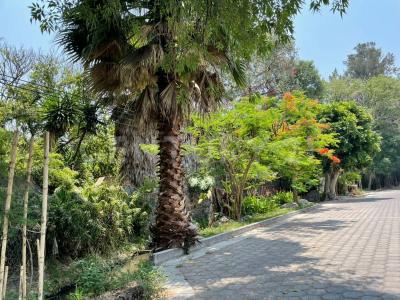 Venta de Finca con gran jardín en Atlixco, 4,132 m2., San Diego Acapulco, Puebla .,, Atlixco, Puebla 74201, Messico