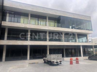 Monterrey, 新萊昂 64984, 墨西哥