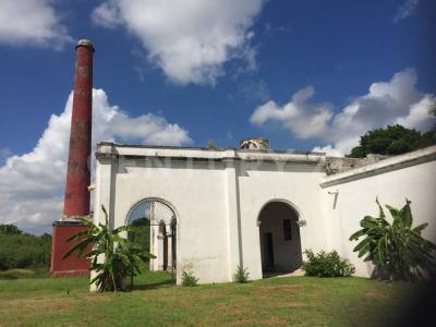 Uman, 尤卡坦 97392, 墨西哥