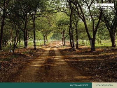 VISTAENCINOS TERRENOS CAMPESTRES,, Montemorelos, Nuevo León 67528, Mexique