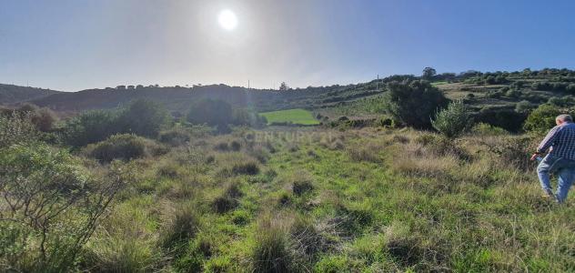Sintra, Lisbon 2705-880, Portugal