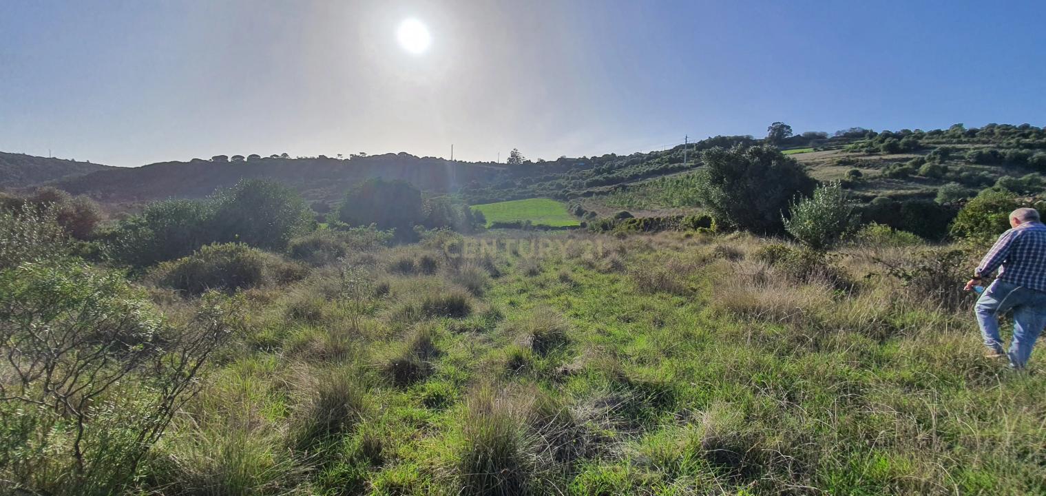 Sintra, Lisboa 2705-880, Portugal