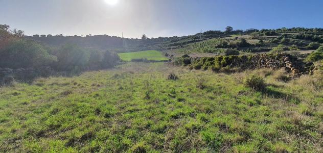 Sintra, Lisboa 2705-880, Portugal