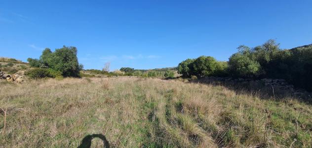 Sintra, Lisboa 2705-880, Portugal