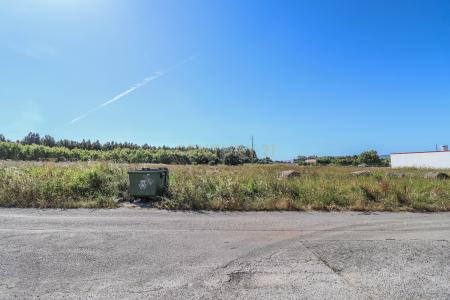 Figueira Da Foz, קוימברה 3090-453, פורטוגל