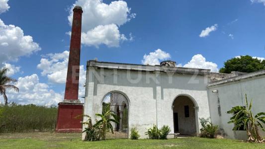 42 Casco Antiguo Hacienda Itzincab Palomeque,, Uman, 유카탄 97392, 멕시코