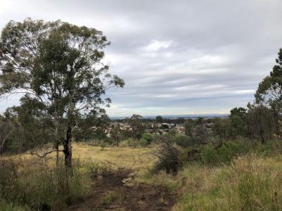 Pemulwuy, NSW 2145, Australia