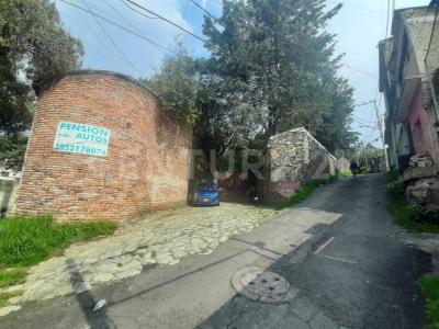 ALTAVISTA S/N,, Tlalpan, Ciudad De México 14490, Mexique